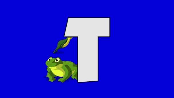 Letter T and  Toad (background) - Footage, Video