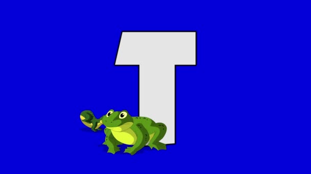 Буква T и жаба (передний план
) - Кадры, видео