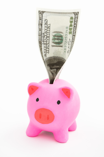 Piggy bank and dollar - Photo, Image