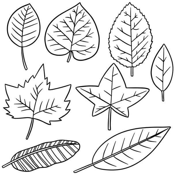 vector set of leaves - Vector, Image