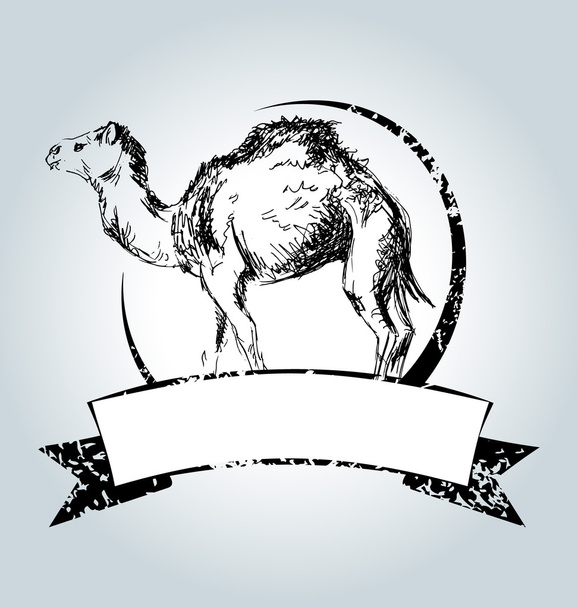 Vector vintage label with camel - Vetor, Imagem