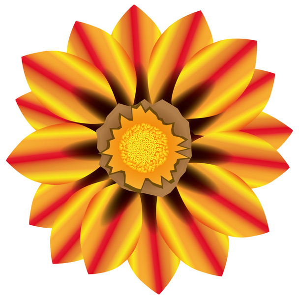 Illustration Vector Graphic Flower - Wektor, obraz