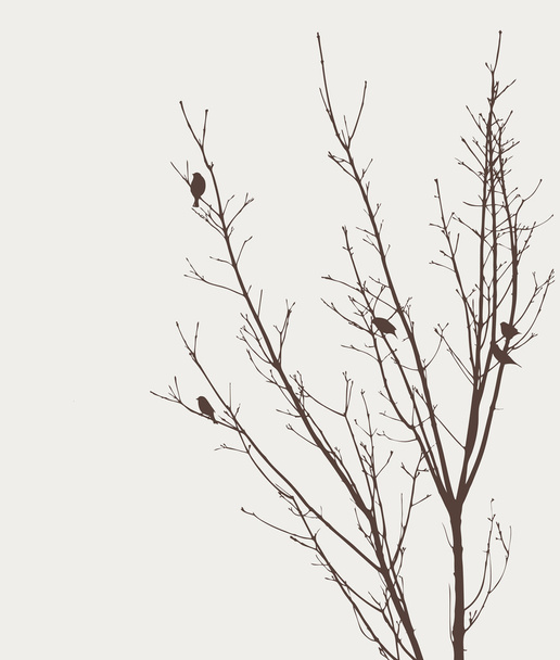 Птицы на дереве - Вектор,изображение