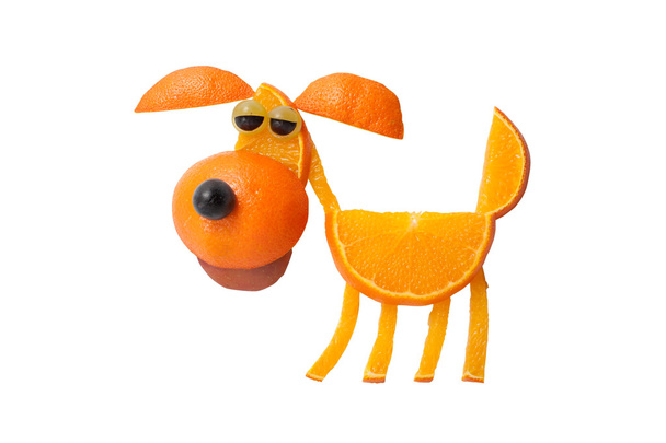 Perro hecho de naranjas
  - Foto, Imagen