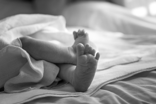 newborn feet close up. - 写真・画像