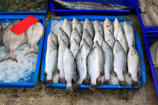A piac friss halak - Fotó, kép