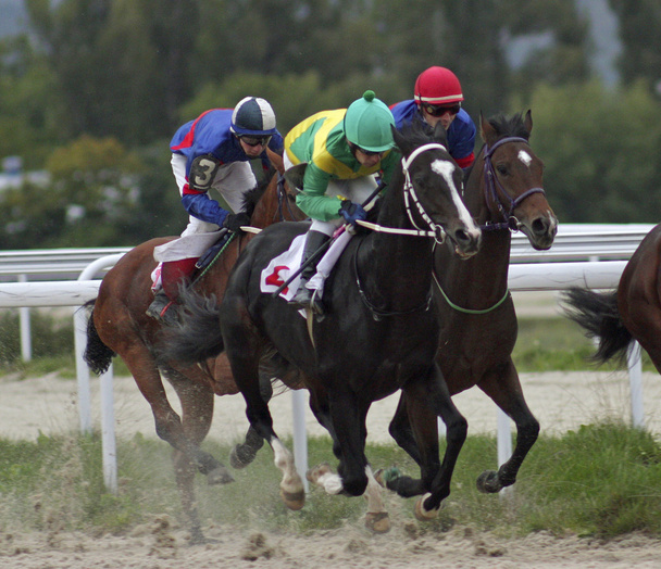 Carreras de caballos en Pyatigorsk. - Foto, imagen