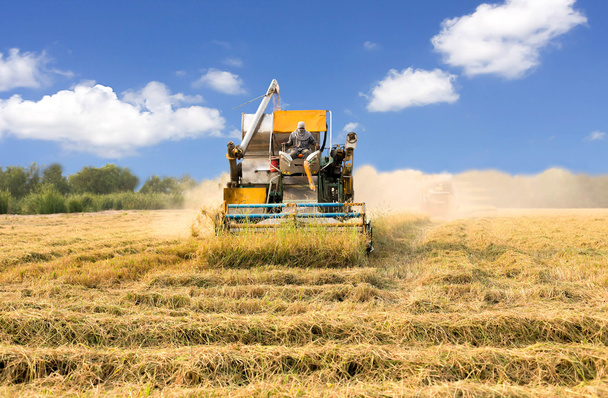 田んぼでの作業機械を収穫農業産業 - 写真・画像