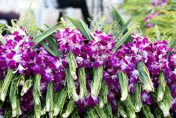 Lila orchidea virágok bemutatás-on virágpiac halom - Fotó, kép