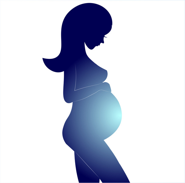 Silhouette of pregnant woman on gray background. Vector illustration. - Vector, Image