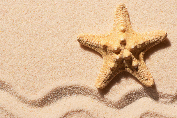 Deniz yıldızı dalga işareti ile kum üzerinde. Yaz plaj arka plan - Fotoğraf, Görsel