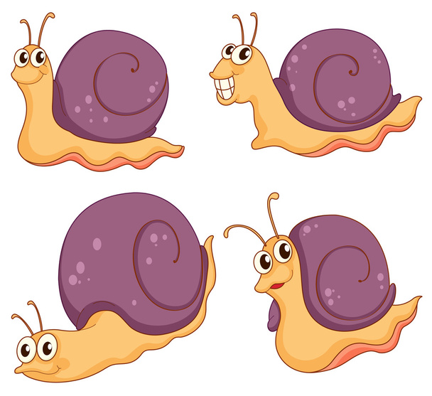 Snails - Vector, Image