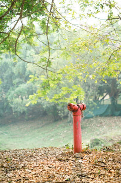 Красный пожарный гидрант
 - Фото, изображение