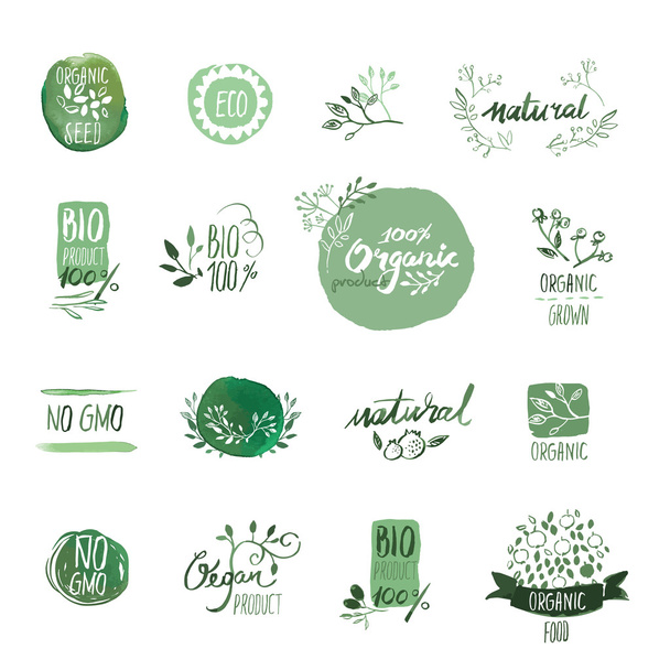 Set de alimentos orgánicos dibujados a mano acuarela insignias y elementos
 - Vector, Imagen