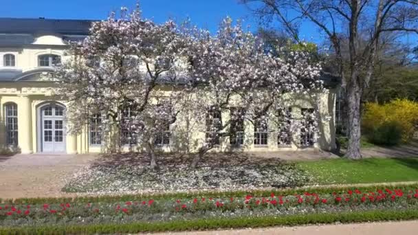 Teahouse of the castle at Altenburg summer spring green - Footage, Video