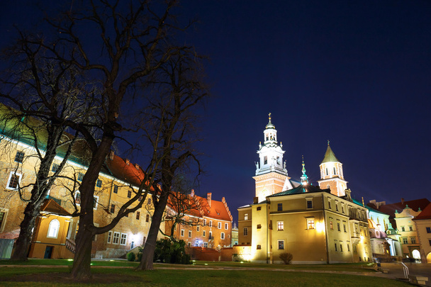 Κάστρο Wawel, το βράδυ στην Κρακοβία, Πολωνία - Φωτογραφία, εικόνα