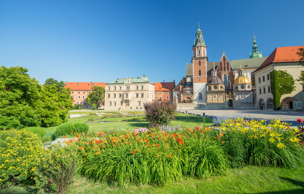 Veduta del castello di Cracovia in Polonia
 - Foto, immagini