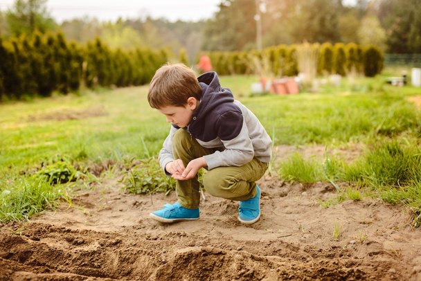 Παιδί σπορά λαχανικών στον εγχώριο κήπο. - Φωτογραφία, εικόνα