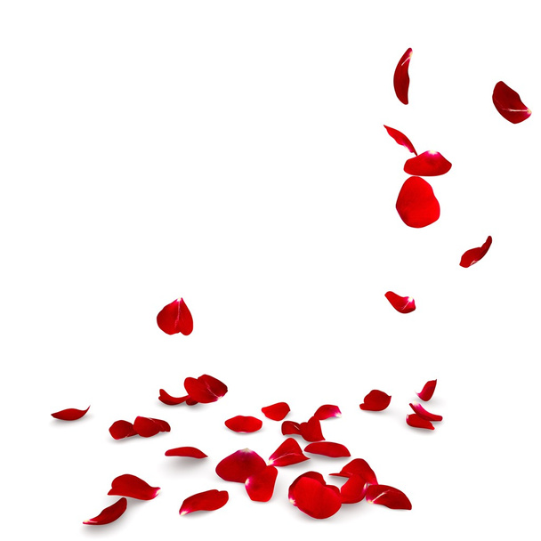 Płatki róż spadnie na podłogę - Zdjęcie, obraz