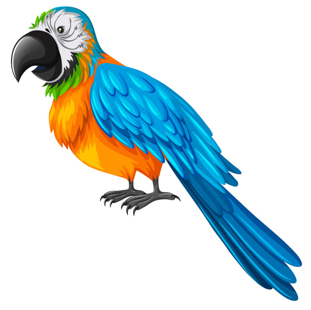Parrot with yellow and blue feather - Vector, Imagen