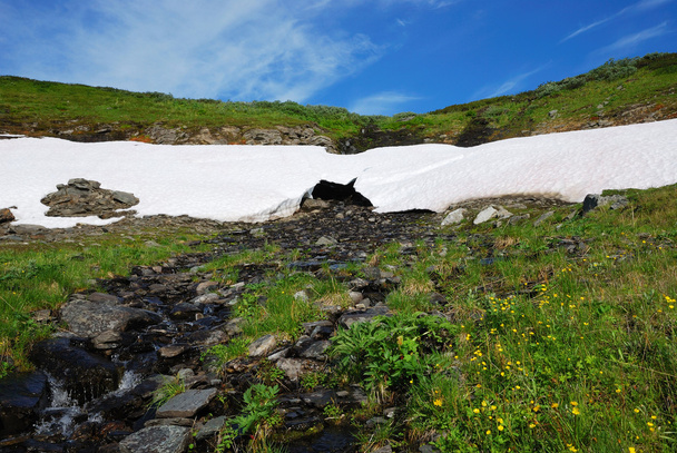 Derretimiento del campo de nieve en la colina verde
. - Foto, Imagen