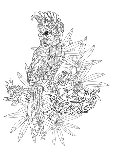 Zentangle stylized parrot.Hand drawn vector - Vektor, Bild