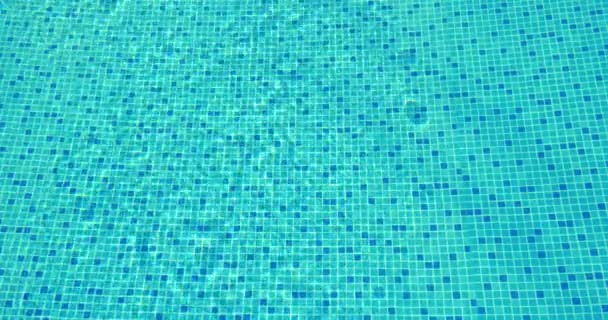 Agua clara en la piscina de azulejos azules
 - Metraje, vídeo