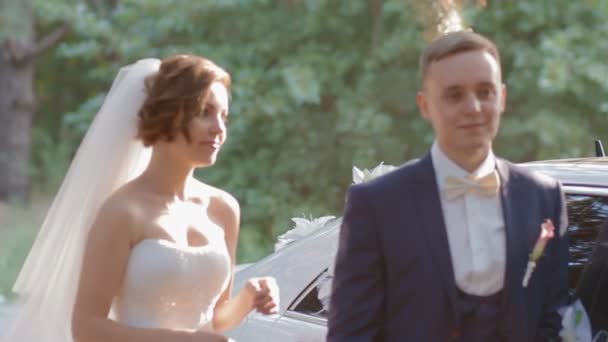 Brautpaar posiert in der Nähe des Autos - Filmmaterial, Video