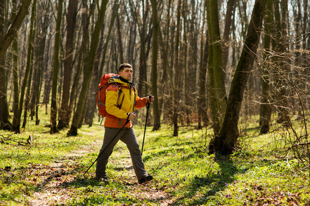 Male hiker looking to the side walking in forest - Foto, imagen