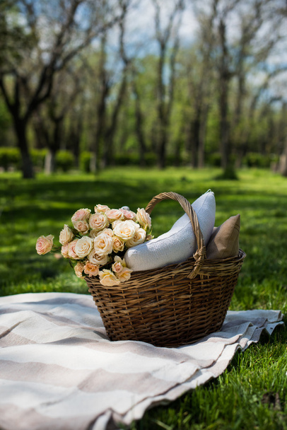 Spring picnic in a park - Photo, Image