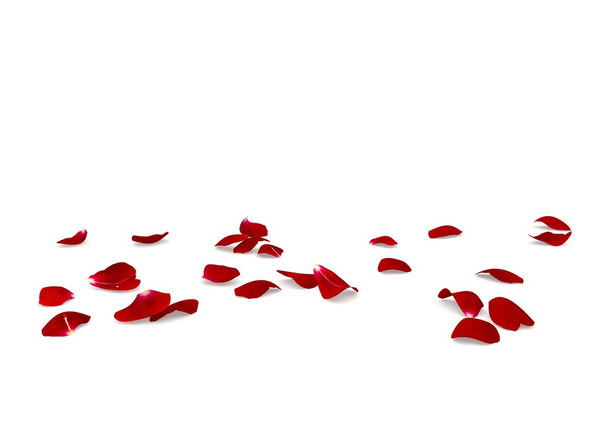 Pétalos de rosa roja esparcidos por el suelo - Foto, imagen