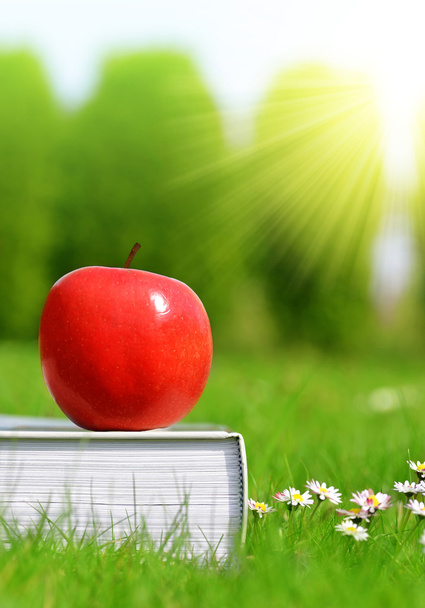 Apple on book in grass. - Photo, Image