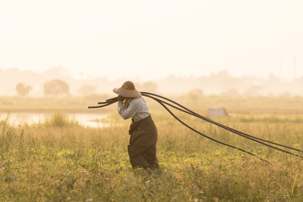 Asiático, Agricultor na fazenda Horário do pôr do sol
 - Foto, Imagem