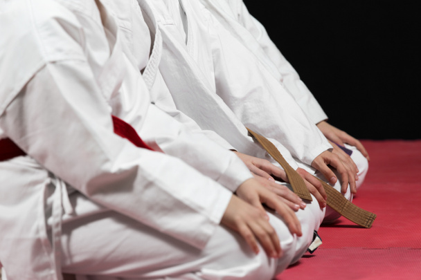 Young, beautiful, successful multi ethical karate kids in karate position. - Photo, Image