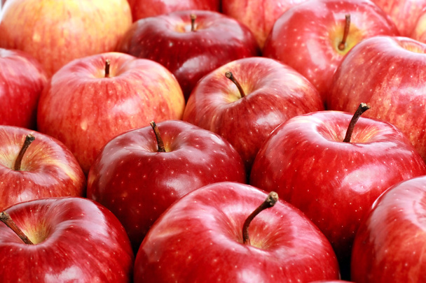 Apples - Fotoğraf, Görsel