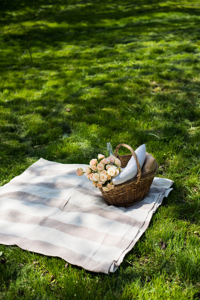 Spring picnic in a park - Photo, image