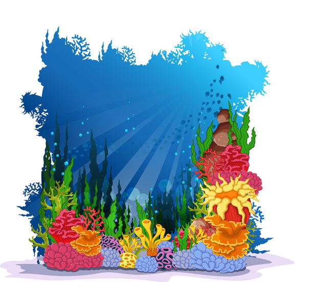 szépsége a korallok a víz alatti háttérre - Vektor, kép