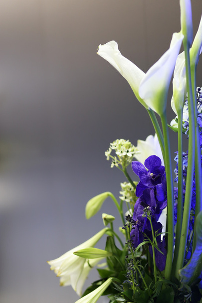 Blue nd white flower bouquet, copy space - 写真・画像