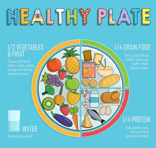 Healthy plate nutrition proportions - Vector, imagen
