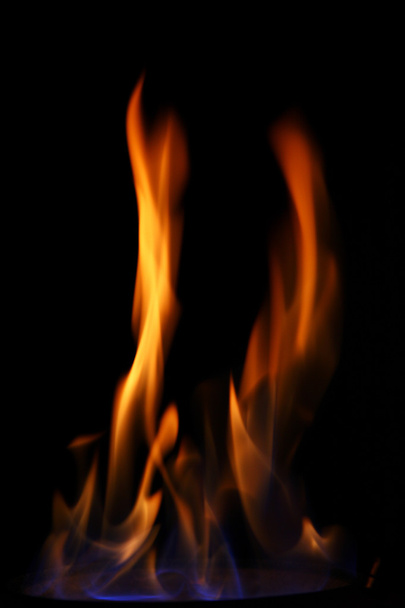 Burning fire - Foto, Bild