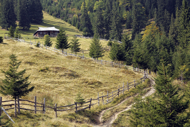 Одинокий дом в горах рядом с лесом
 - Фото, изображение
