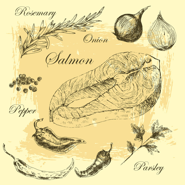 vector salmon steak hand drawn illustration with rosemary and pepper - Vektori, kuva