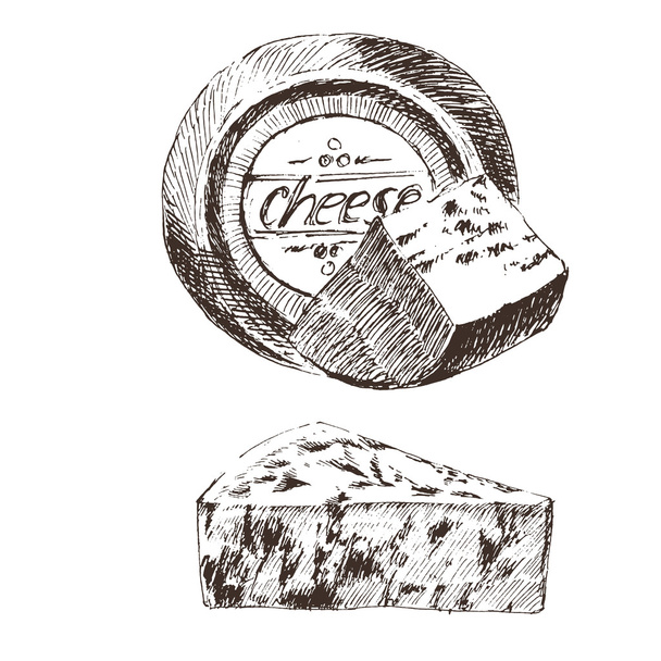 διάνυσμα τυρί σκίτσο σχεδίασης σχεδιαστής πρότυπο. συλλογή τροφίμων αγρόκτημα. χέρι συντάσσονται γαλακτοκομικό προϊόν - Διάνυσμα, εικόνα