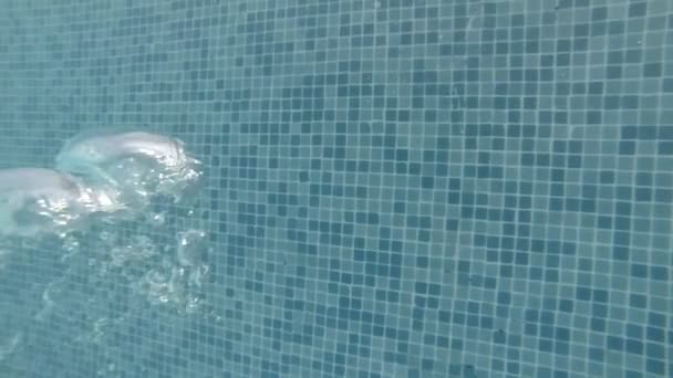 buborékok víz alatt - Felvétel, videó