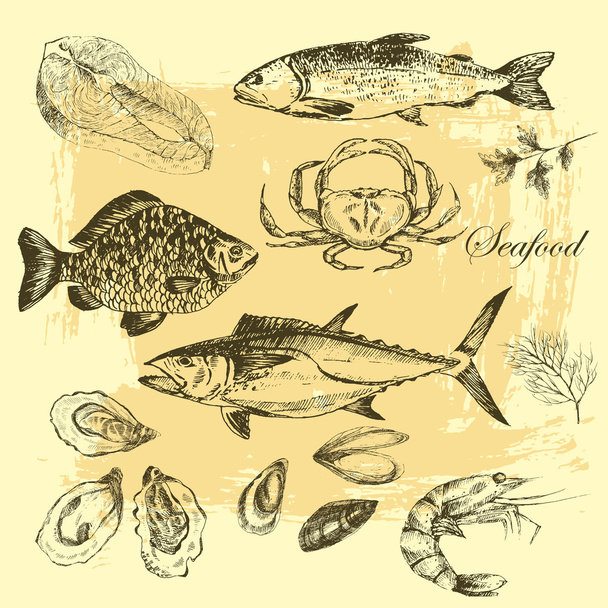 vector hand drawn seafood set - shrimp, crab, lobster, salmon, oysters, mussel, tuna, trout, carp. mediterranean cuisine sea food sketch - Vetor, Imagem