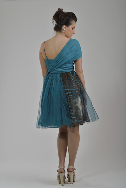 Elegant woman in fashionable dress posing in the studio - Fotografie, Obrázek