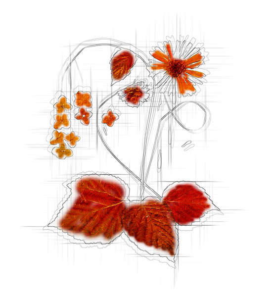 bitkiler ve dalları izole el çizimi kurutulmuş sonbaharın bırakır - Fotoğraf, Görsel