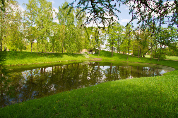Lake and a meadow in the park - Foto, imagen