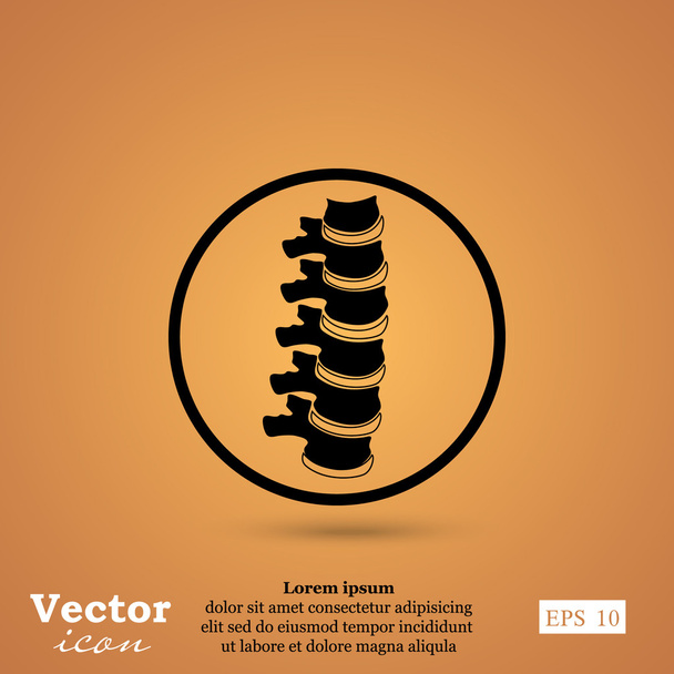 ícone da coluna vertebral humana
 - Vetor, Imagem