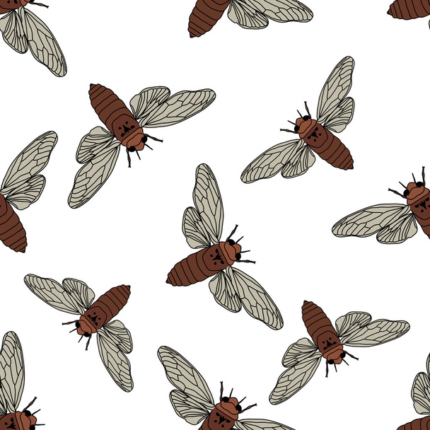Seamless pattern with cicada . Cicadidae. Chremistica umbrosa.     hand-drawn cicada . Vector - Vector, Image